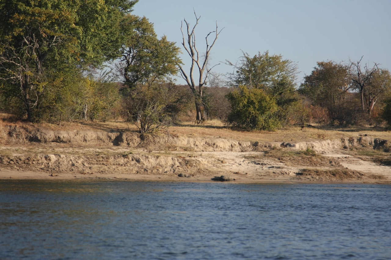 [33282] 2016_07_04_10_26_28_Africa_Canon_EOS_40D_IMG__00026.jpg