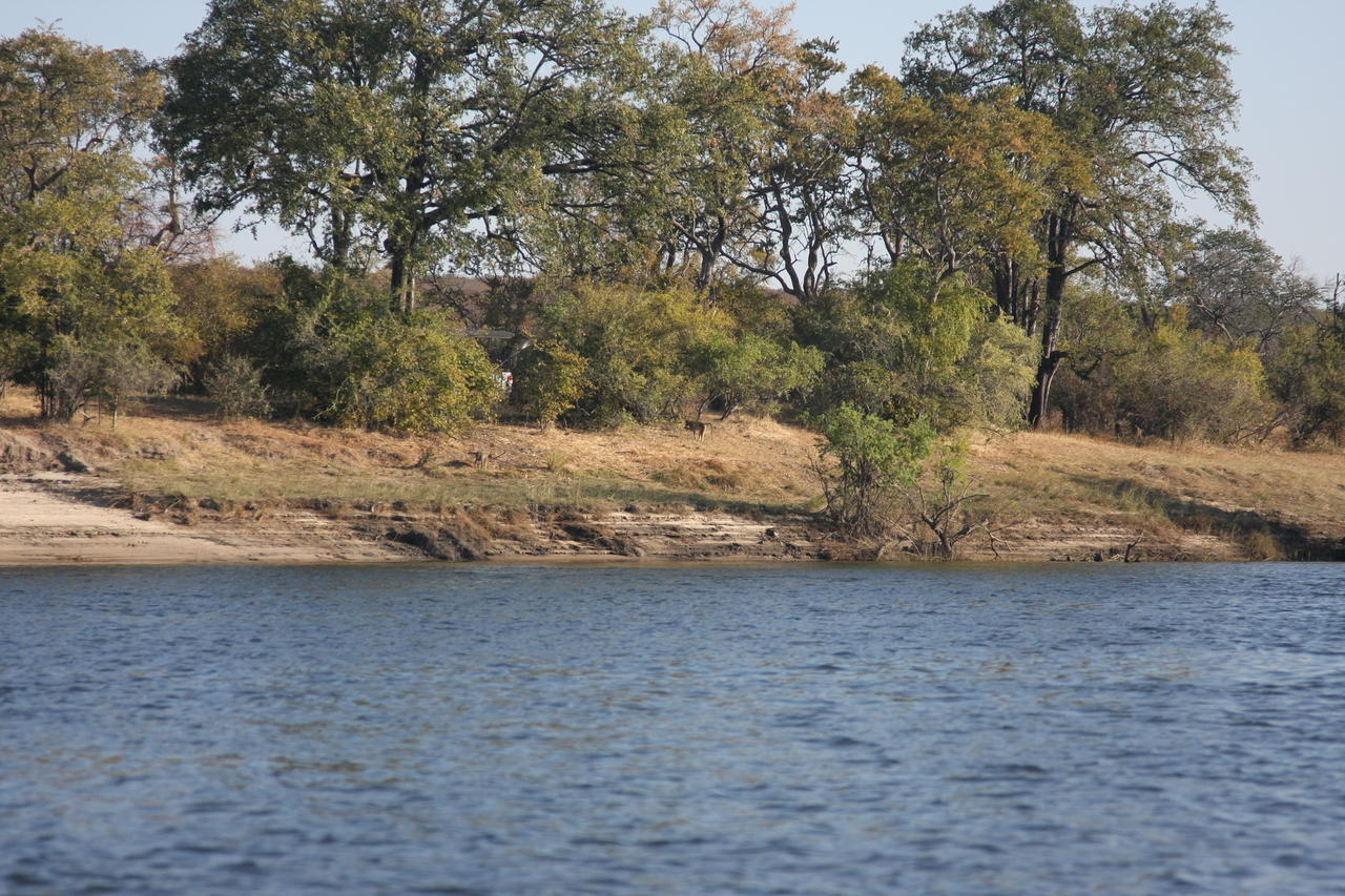 [33294] 2016_07_04_10_26_38_Africa_Canon_EOS_40D_IMG__05664.jpg