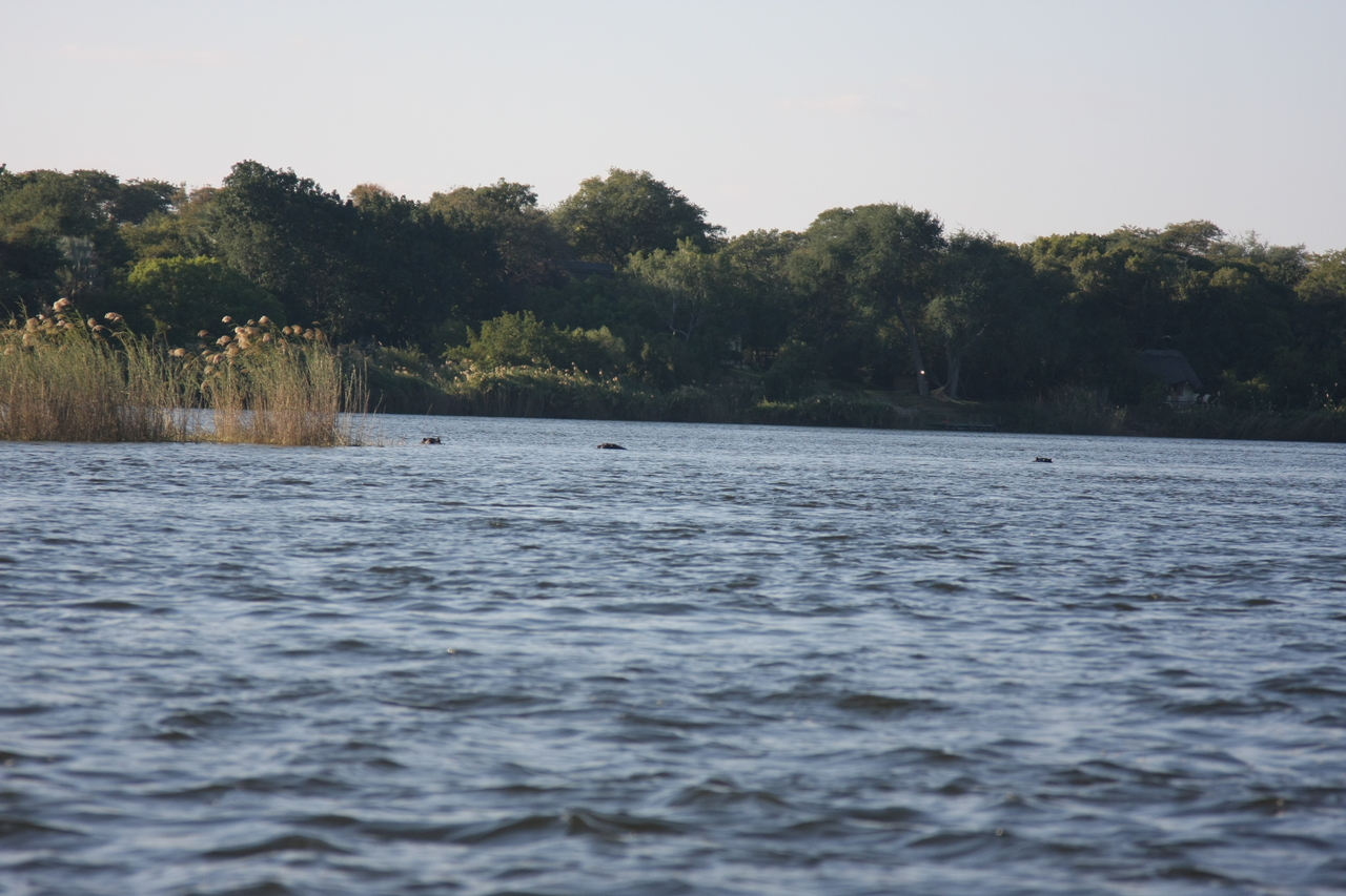 [33298] 2016_07_04_10_28_57_Africa_Canon_EOS_40D_IMG__05665.jpg