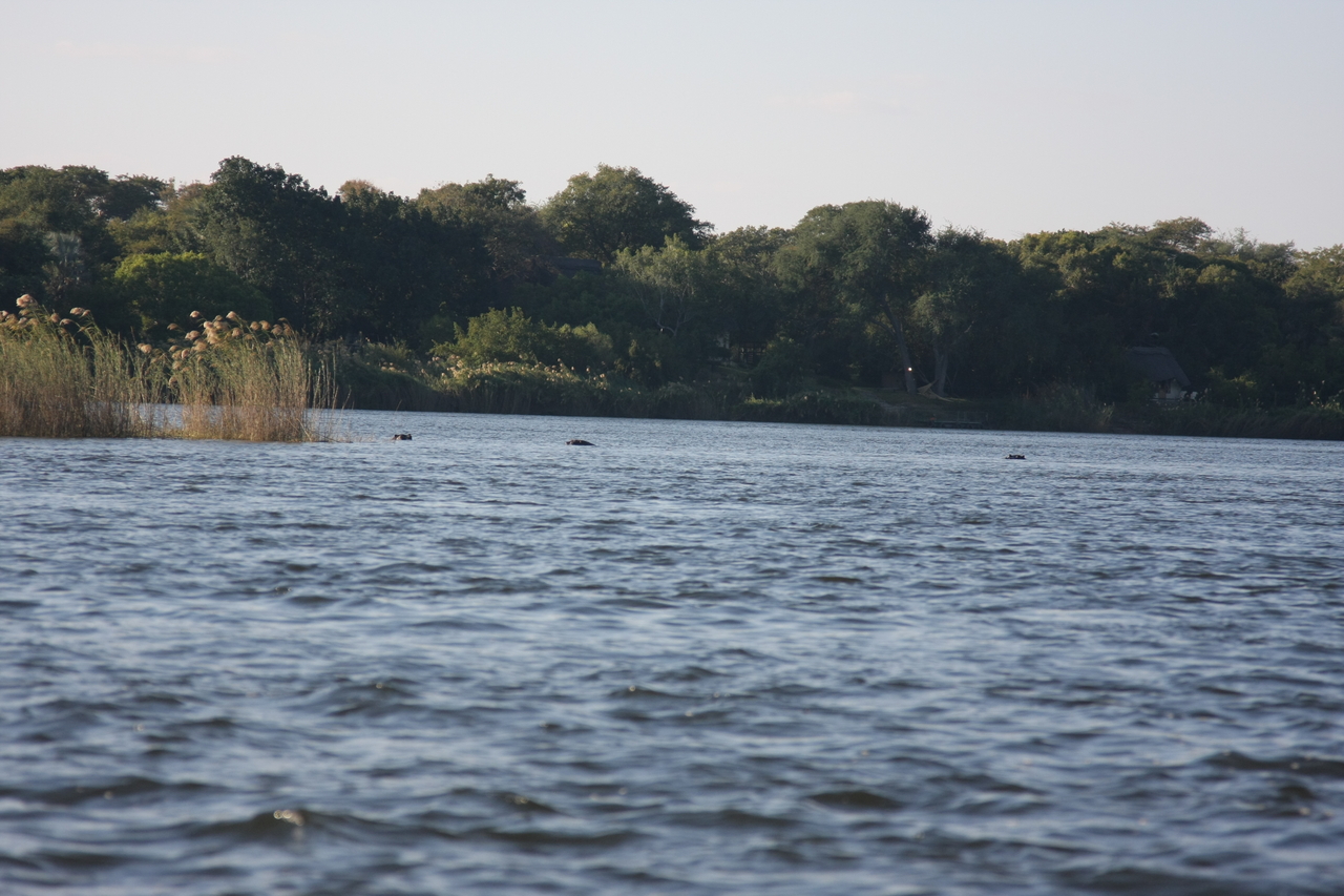 [33301] 2016_07_04_10_28_57_Africa_Canon_EOS_40D_IMG__13113.jpg