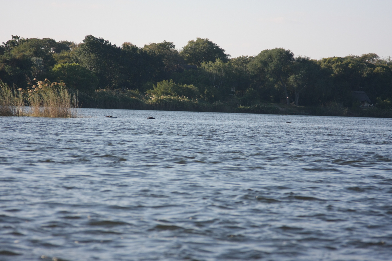 [33306] 2016_07_04_10_29_00_Africa_Canon_EOS_40D_IMG__13114.jpg