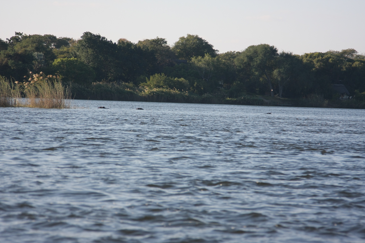 [33307] 2016_07_04_10_29_00_Africa_Canon_EOS_40D_IMG__13115.jpg