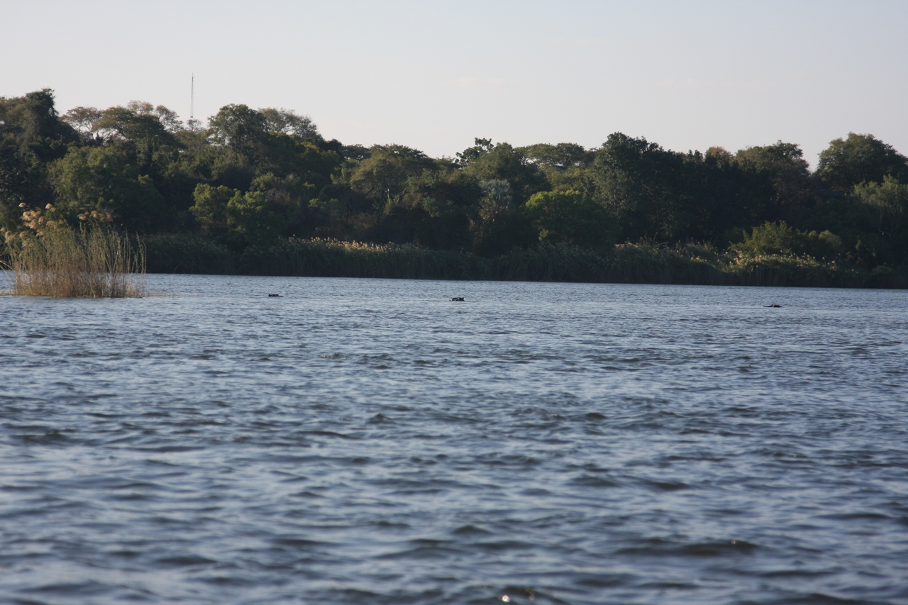 [33320] 2016_07_04_10_29_13_Africa_Canon_EOS_40D_IMG__00039.jpg