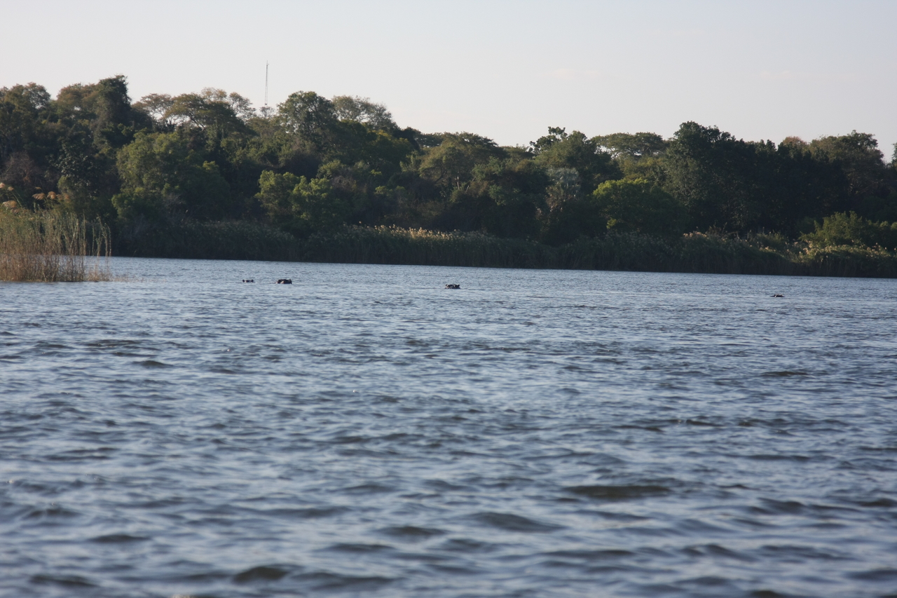 [33323] 2016_07_04_10_29_17_Africa_Canon_EOS_40D_IMG__00040.jpg