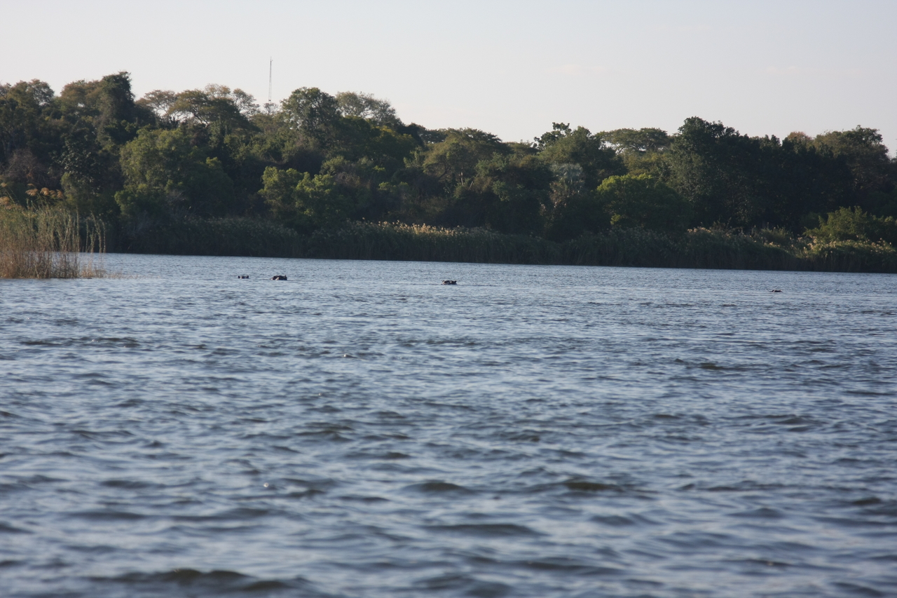 [33328] 2016_07_04_10_29_17_Africa_Canon_EOS_40D_IMG__13123.jpg