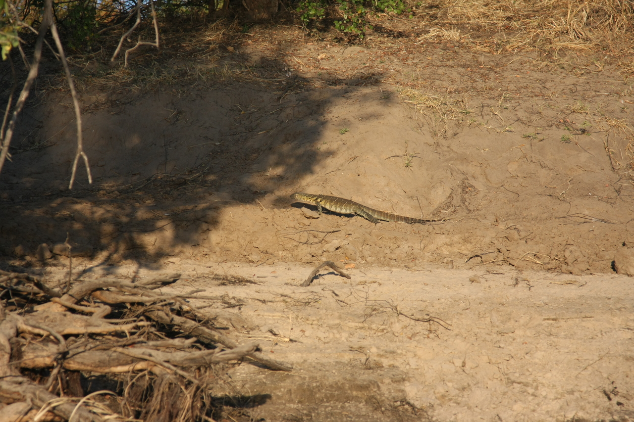 [33362] 2016_07_04_11_07_58_Africa_Canon_EOS_40D_IMG__13134.jpg