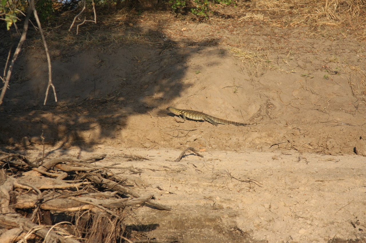 [33363] 2016_07_04_11_07_58_Africa_Canon_EOS_40D_IMG__13135.jpg