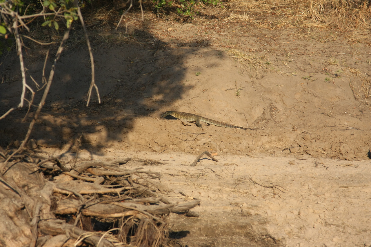 [33369] 2016_07_04_11_08_01_Africa_Canon_EOS_40D_IMG__00057.jpg