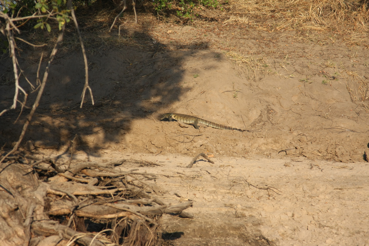 [33371] 2016_07_04_11_08_01_Africa_Canon_EOS_40D_IMG__05691.jpg