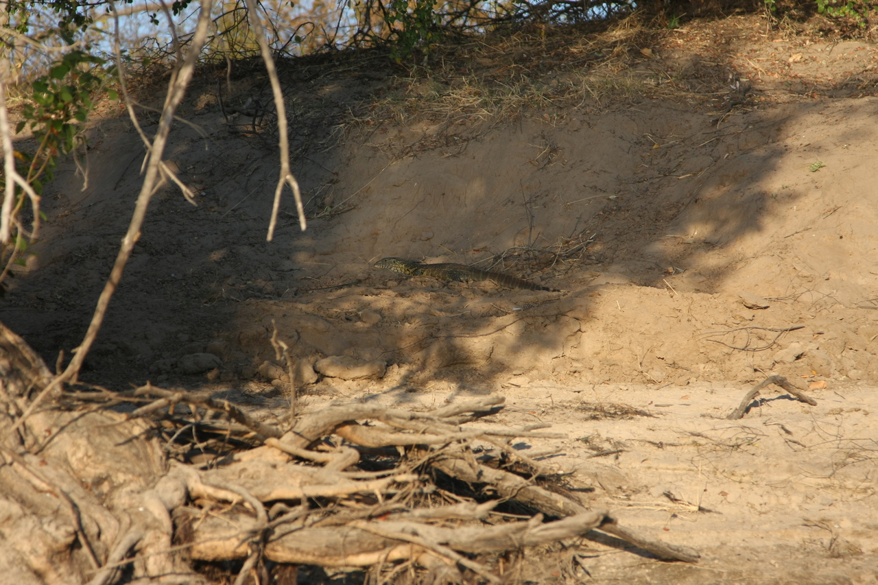 [33377] 2016_07_04_11_09_27_Africa_Canon_EOS_40D_IMG__00060.jpg