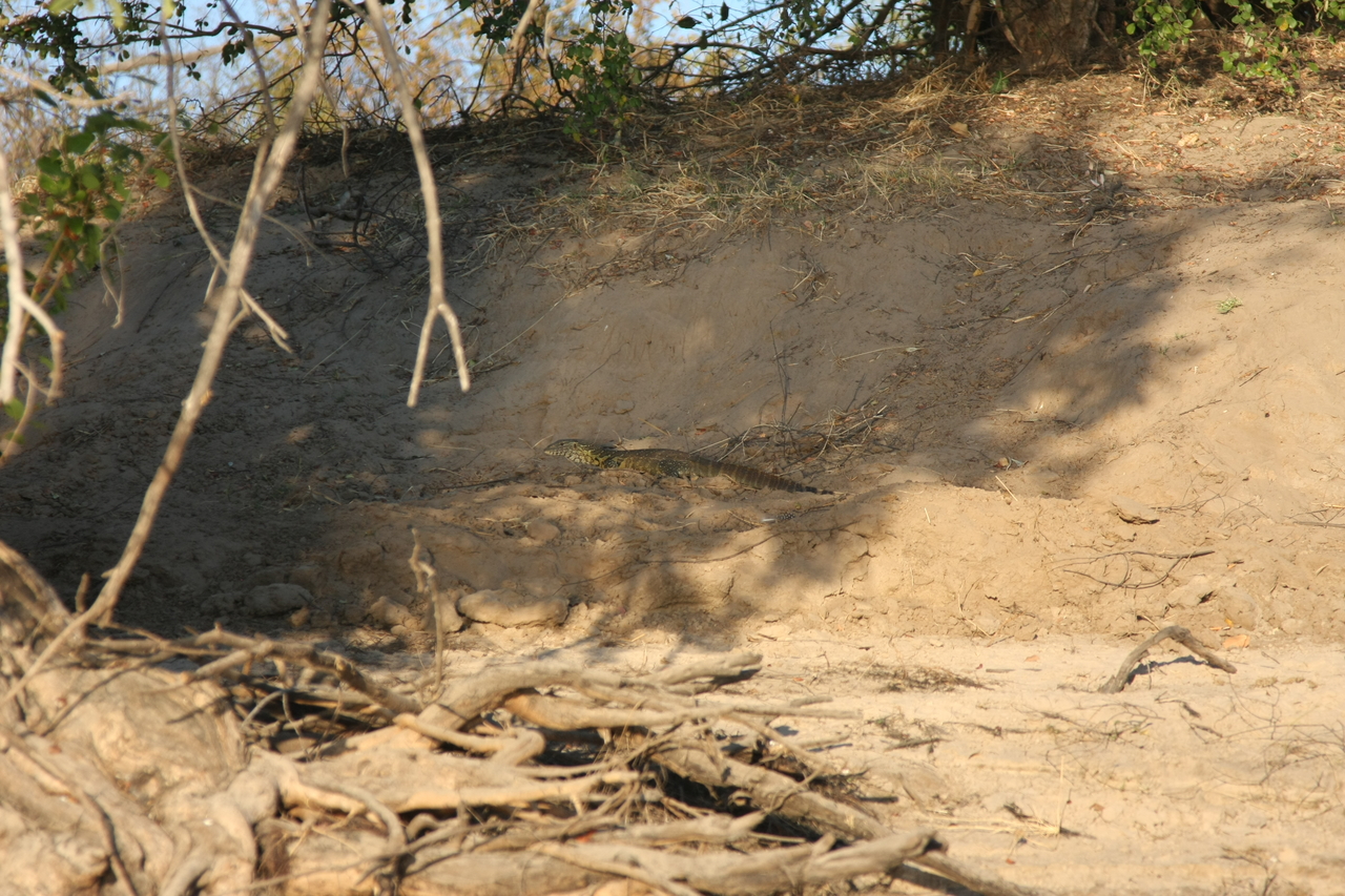 [33385] 2016_07_04_11_09_27_Africa_Canon_EOS_40D_IMG__13144.jpg