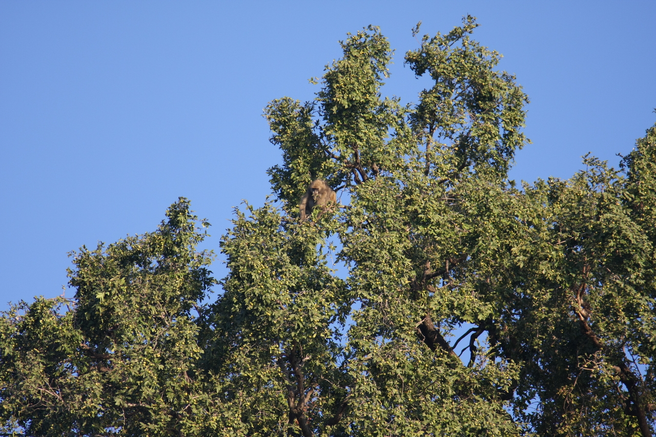 [33394] 2016_07_04_11_14_16_Africa_Canon_EOS_40D_IMG__13147.jpg