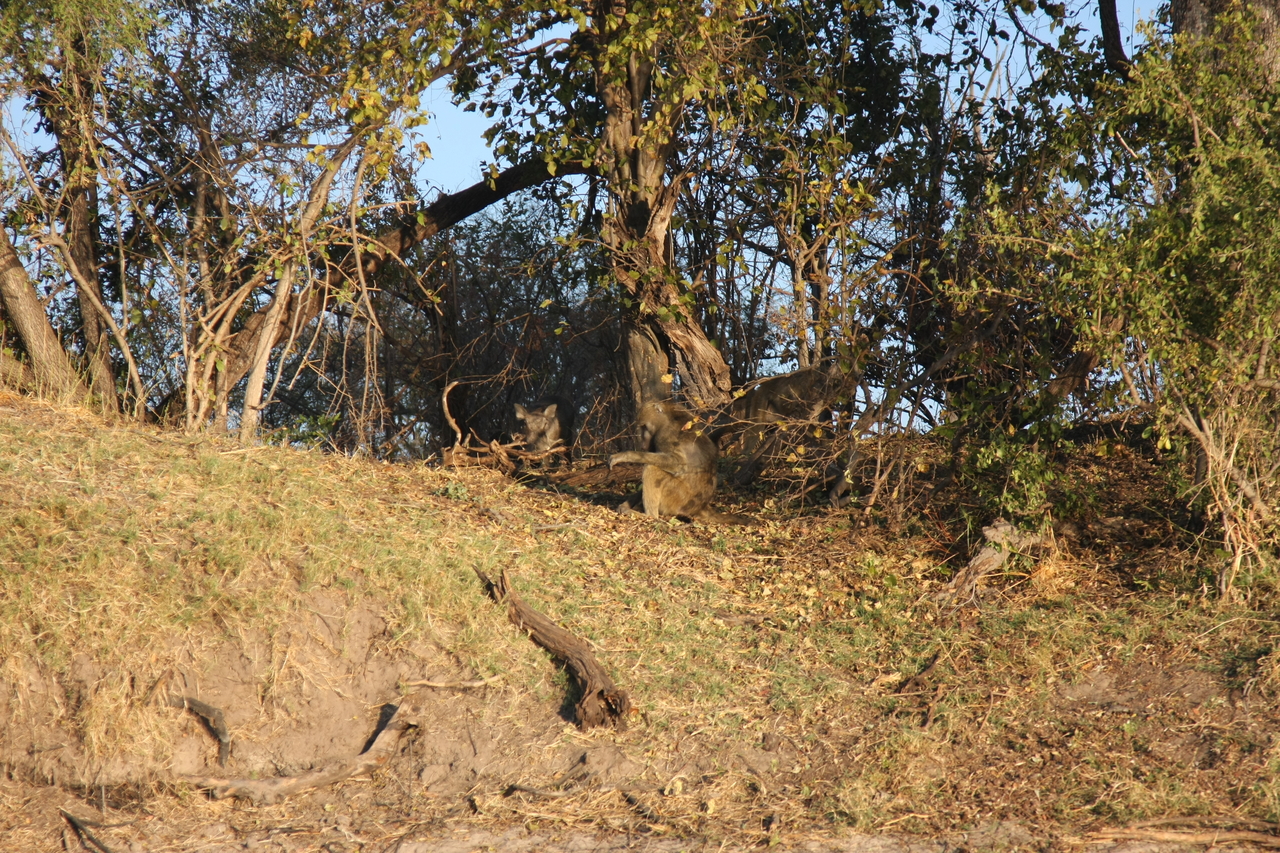 [33424] 2016_07_04_11_14_28_Africa_Canon_EOS_40D_IMG__05712.jpg