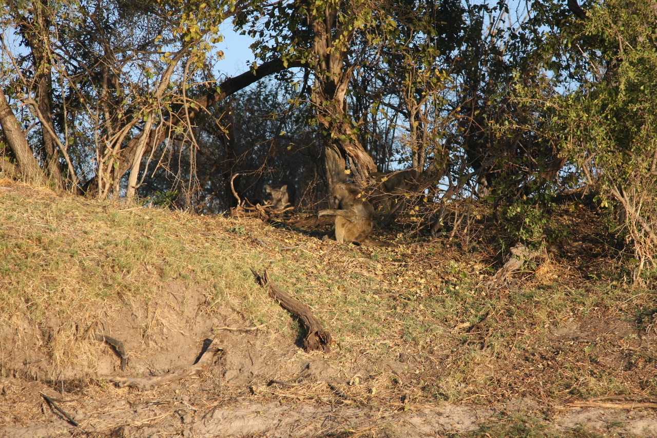 [33425] 2016_07_04_11_14_28_Africa_Canon_EOS_40D_IMG__13157.jpg