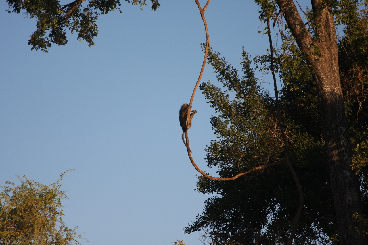 [33571] 2016_07_04_11_16_18_Africa_Canon_EOS_40D_IMG__13213.jpg