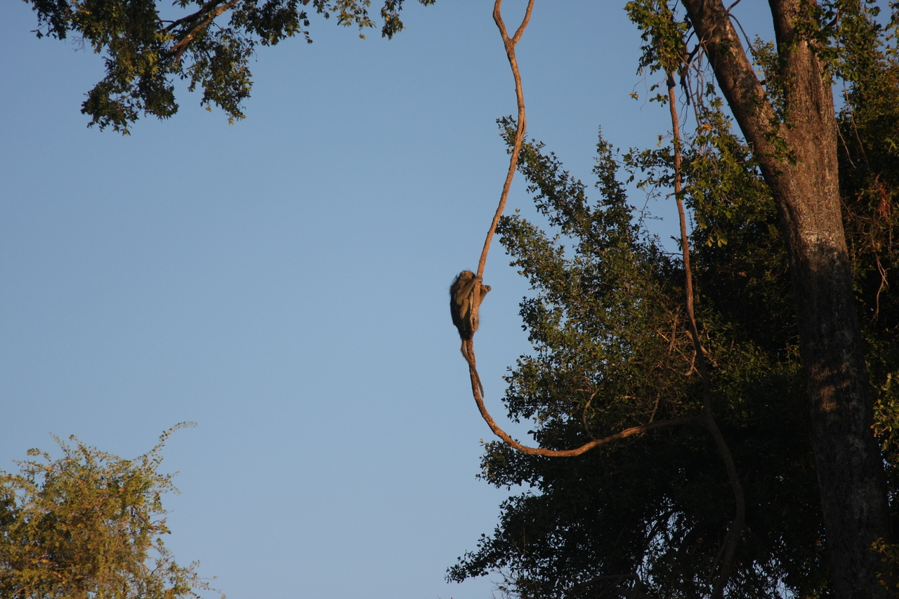 [33585] 2016_07_04_11_16_21_Africa_Canon_EOS_40D_IMG__00138.jpg