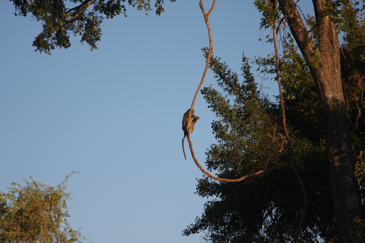 [33588] 2016_07_04_11_16_21_Africa_Canon_EOS_40D_IMG__13219.jpg