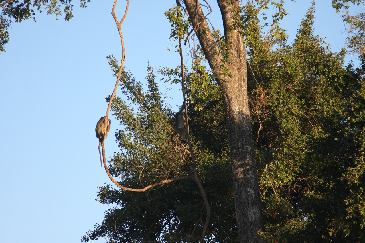 [33597] 2016_07_04_11_16_24_Africa_Canon_EOS_40D_IMG__05776.jpg