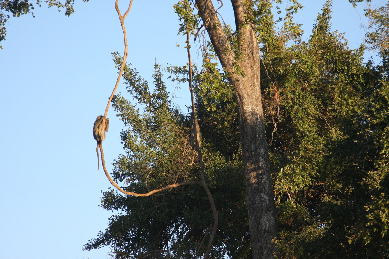 [33598] 2016_07_04_11_16_24_Africa_Canon_EOS_40D_IMG__05777.jpg