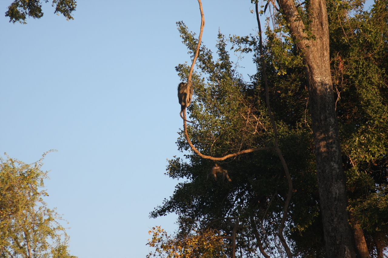 [33611] 2016_07_04_11_16_32_Africa_Canon_EOS_40D_IMG__05780.jpg