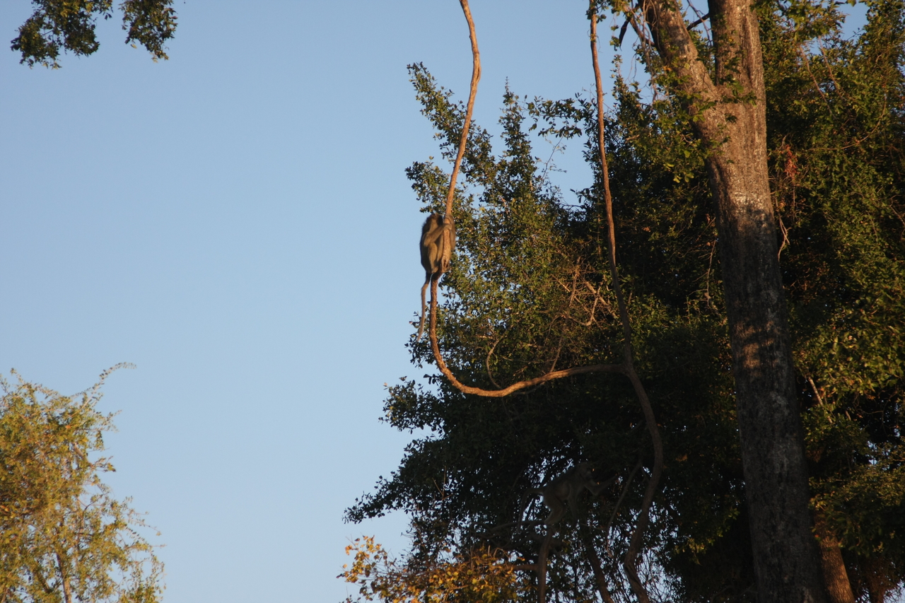 [33622] 2016_07_04_11_16_33_Africa_Canon_EOS_40D_IMG__13232.jpg