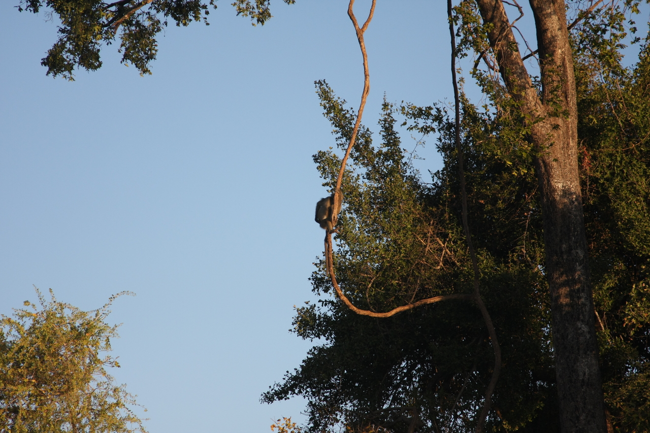 [33632] 2016_07_04_11_16_39_Africa_Canon_EOS_40D_IMG__00154.jpg