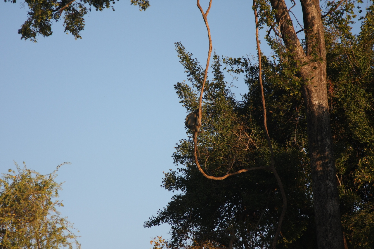 [33642] 2016_07_04_11_16_40_Africa_Canon_EOS_40D_IMG__05792.jpg