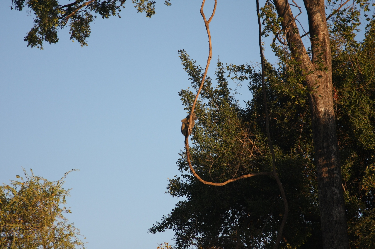 [33644] 2016_07_04_11_16_41_Africa_Canon_EOS_40D_IMG__00159.jpg