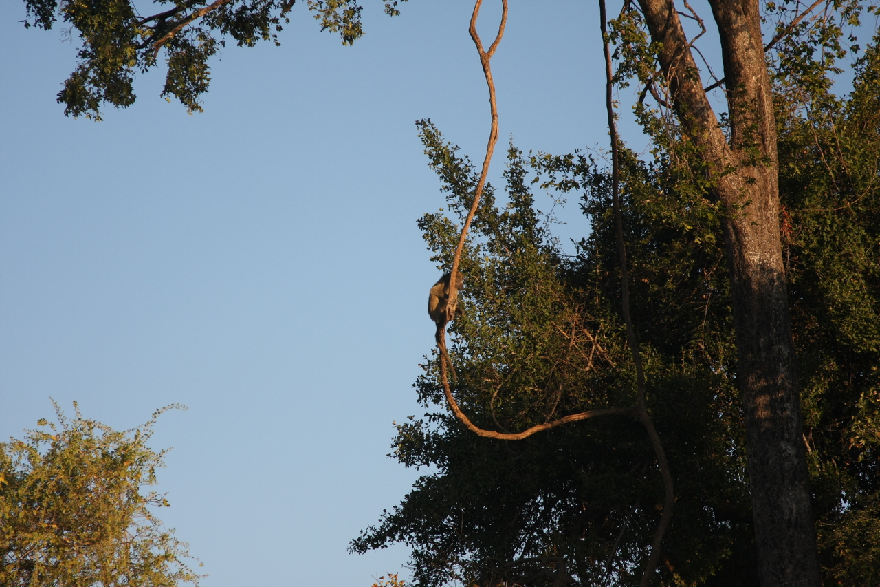 [33647] 2016_07_04_11_16_42_Africa_Canon_EOS_40D_IMG__00160.jpg