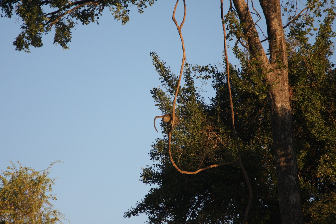 [33663] 2016_07_04_11_16_43_Africa_Canon_EOS_40D_IMG__13246.jpg