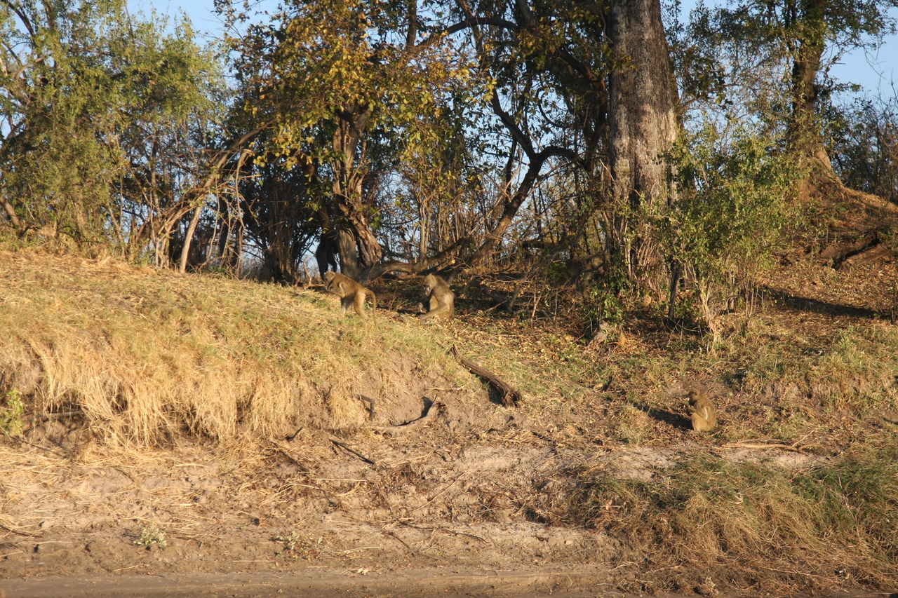 [33671] 2016_07_04_11_16_58_Africa_Canon_EOS_40D_IMG__00168.jpg