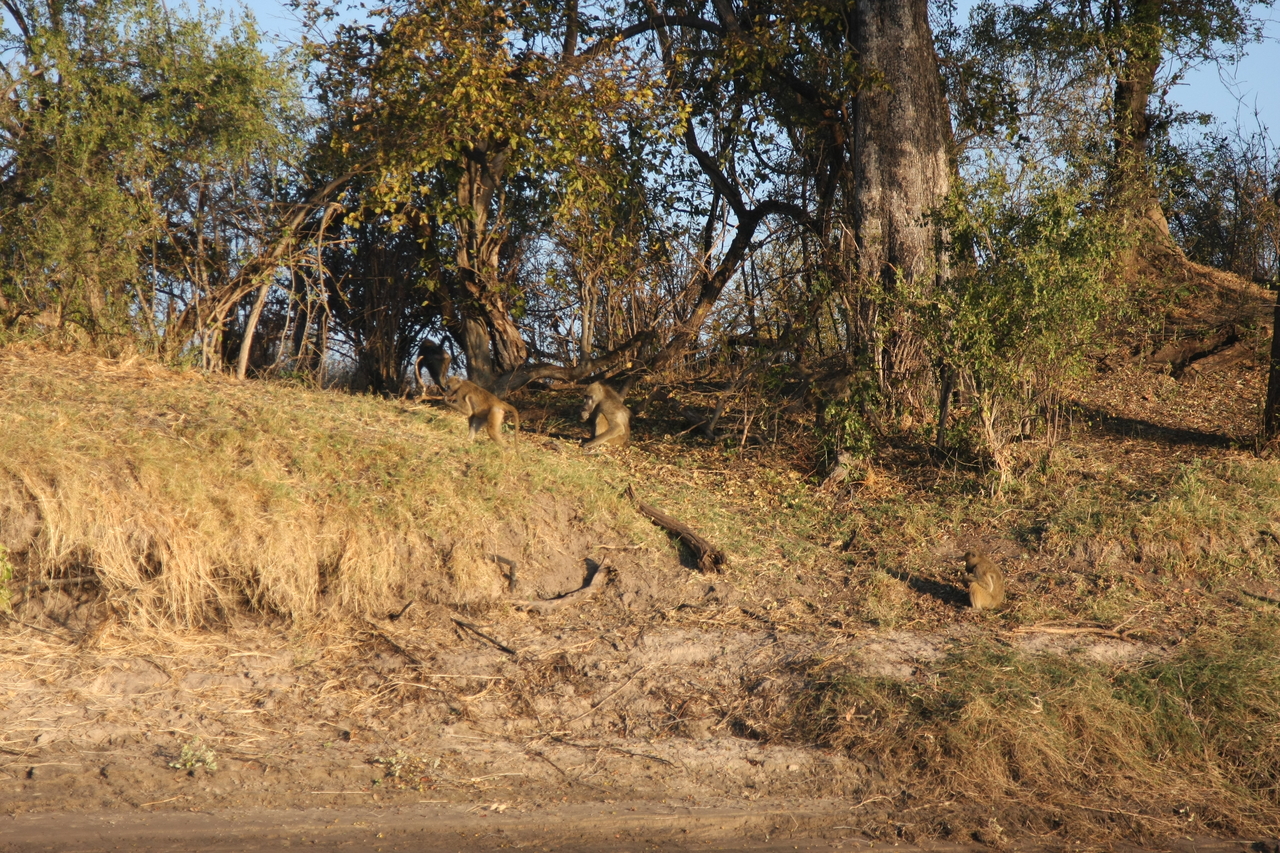 [33672] 2016_07_04_11_16_58_Africa_Canon_EOS_40D_IMG__00170.jpg