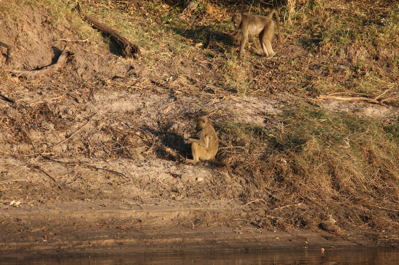 [33714] 2016_07_04_11_17_58_Africa_Canon_EOS_40D_IMG__05819.jpg