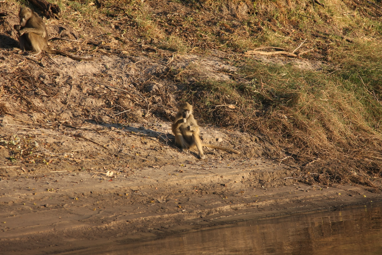 [33752] 2016_07_04_11_19_08_Africa_Canon_EOS_40D_IMG__00198.jpg