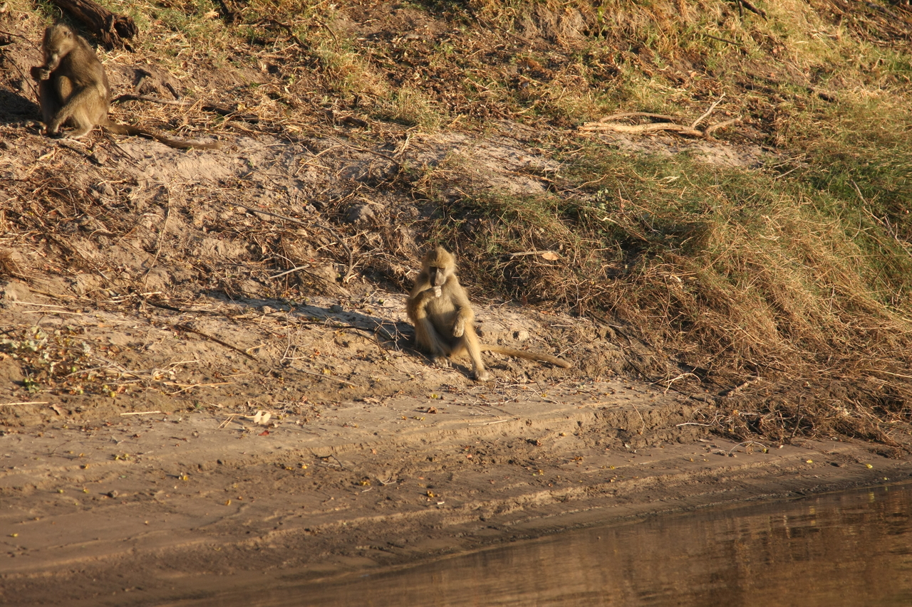 [33754] 2016_07_04_11_19_08_Africa_Canon_EOS_40D_IMG__00200.jpg