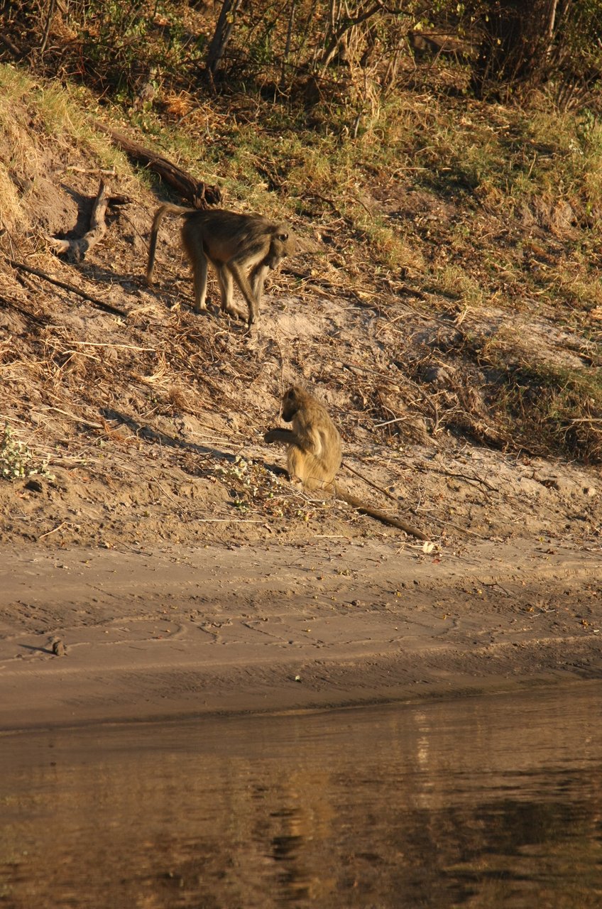 [33803] 2016_07_04_11_20_12_Africa_Canon_EOS_40D_IMG__00217.jpg
