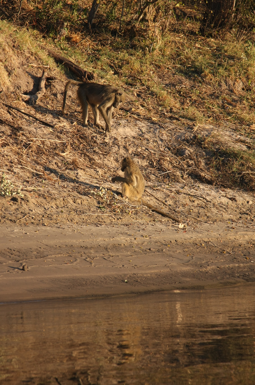 [33807] 2016_07_04_11_20_12_Africa_Canon_EOS_40D_IMG__05853.jpg