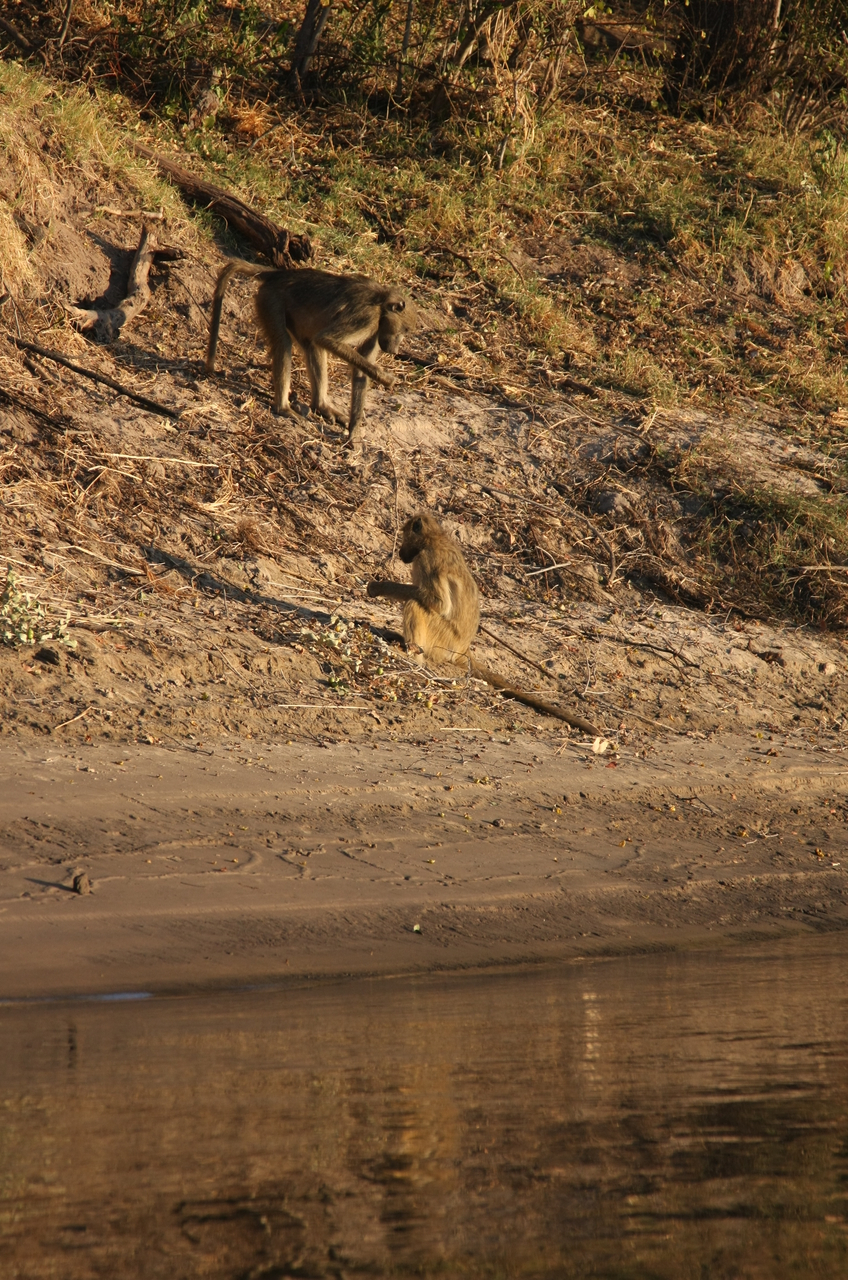 [33808] 2016_07_04_11_20_12_Africa_Canon_EOS_40D_IMG__05854.jpg