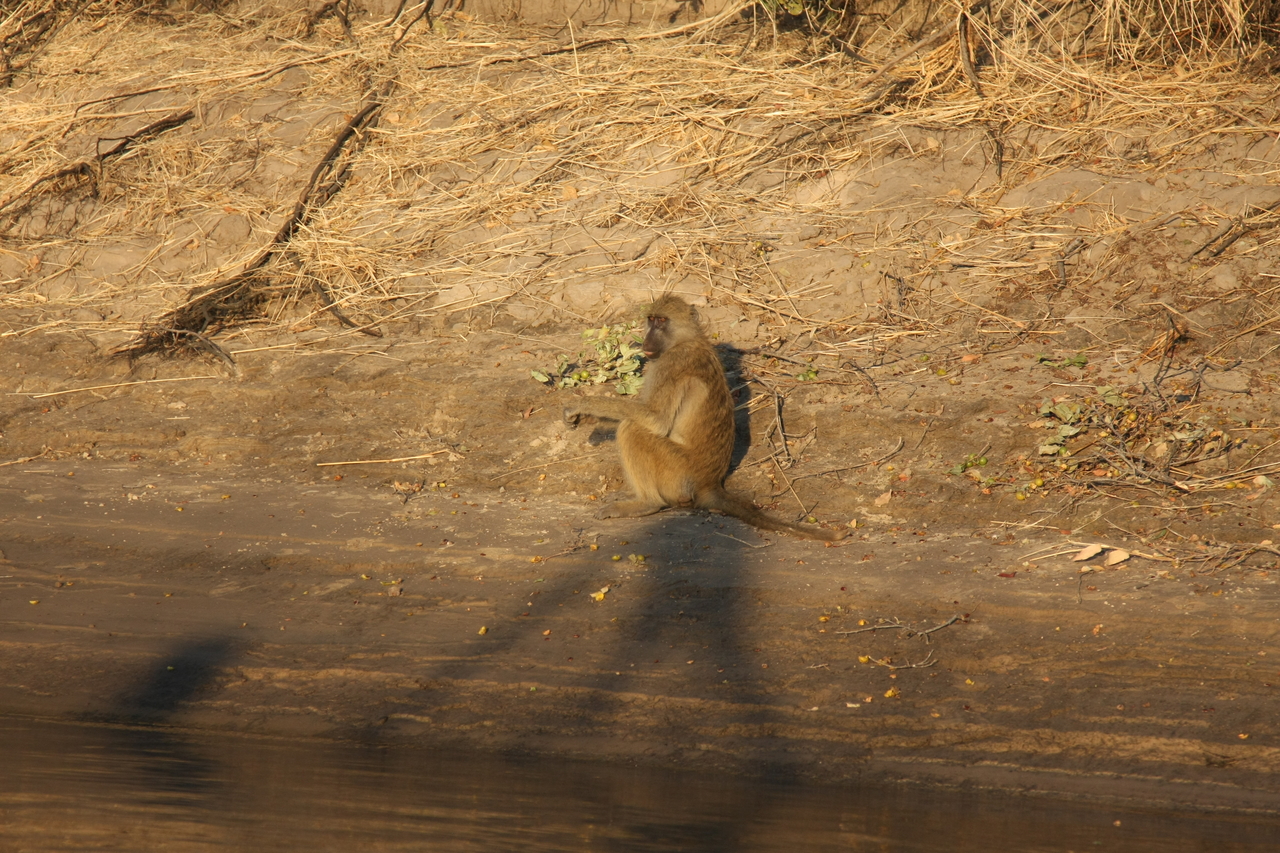 [33838] 2016_07_04_11_22_35_Africa_Canon_EOS_40D_IMG__05865.jpg