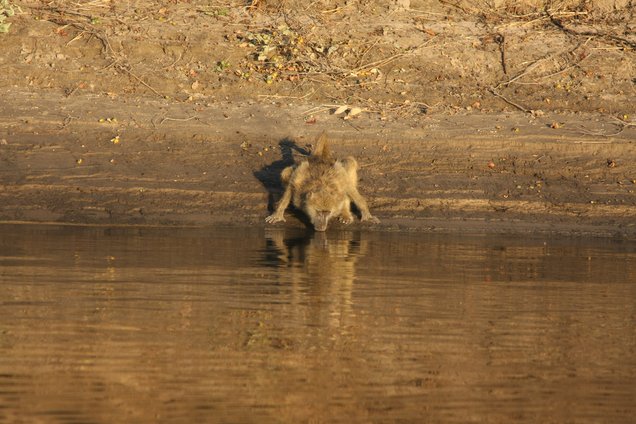 [33880] 2016_07_04_11_22_56_Africa_Canon_EOS_40D_IMG__13326.jpg