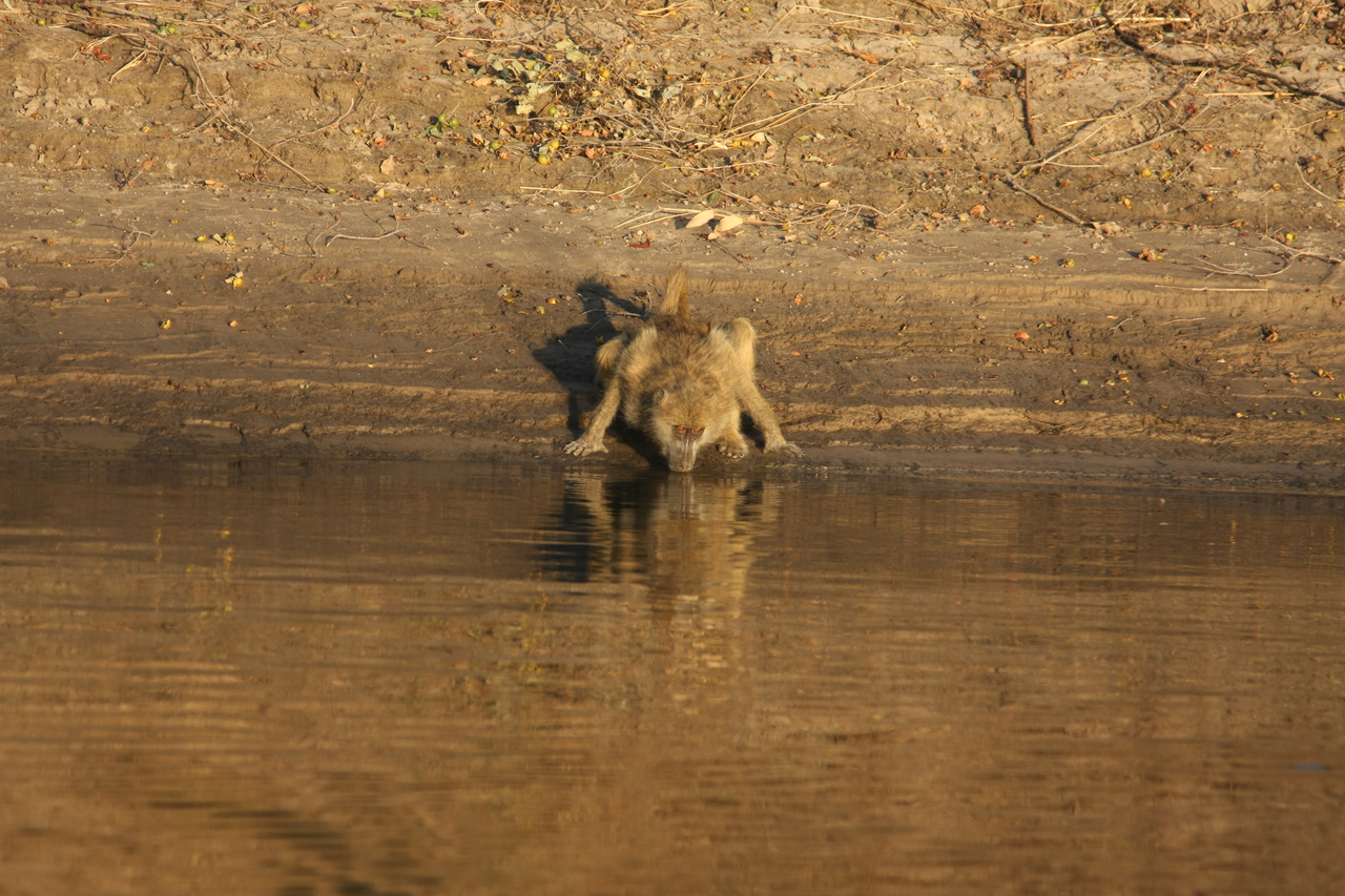 [33889] 2016_07_04_11_22_58_Africa_Canon_EOS_40D_IMG__00250.jpg