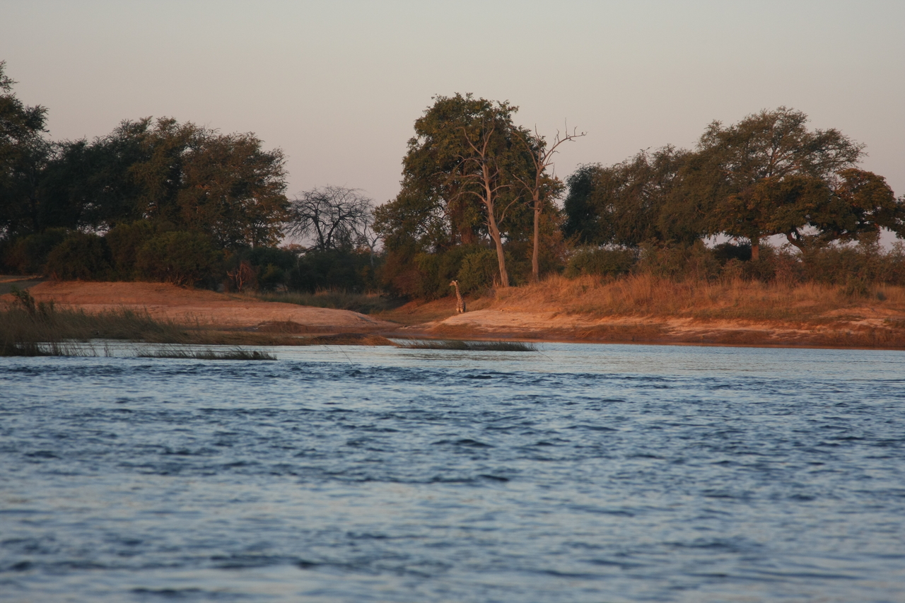 [34127] 2016_07_04_11_38_06_Africa_Canon_EOS_40D_IMG__13413.jpg