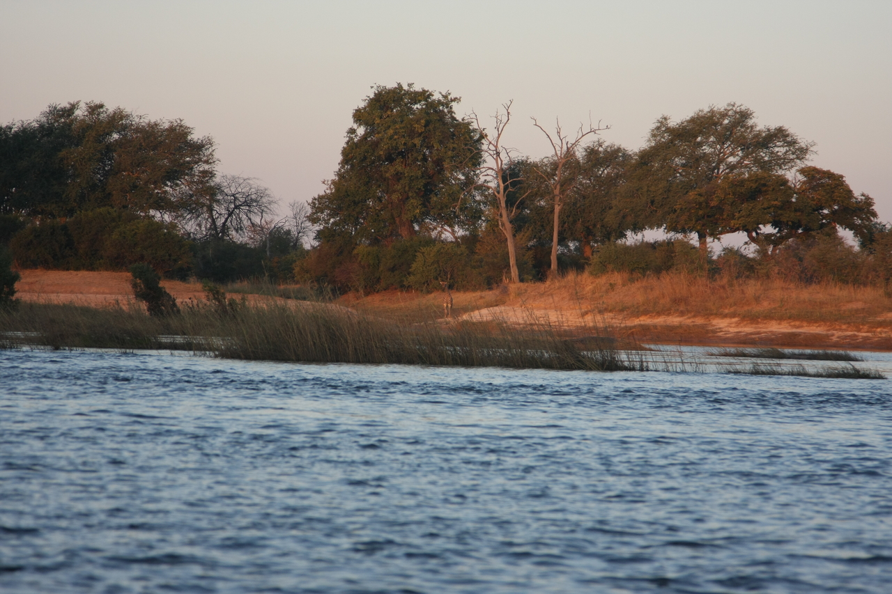 [34134] 2016_07_04_11_38_21_Africa_Canon_EOS_40D_IMG__13416.jpg