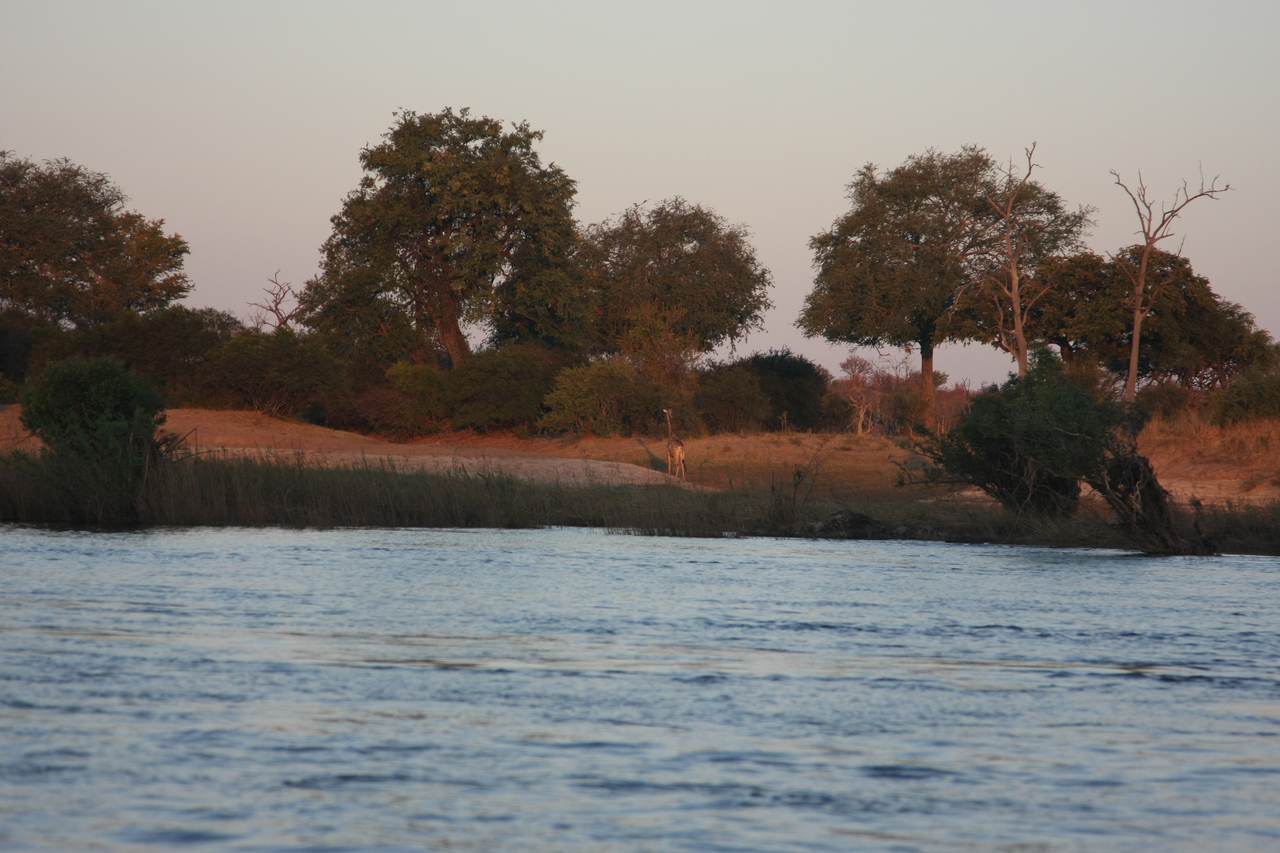 [34149] 2016_07_04_11_39_14_Africa_Canon_EOS_40D_IMG__05977.jpg