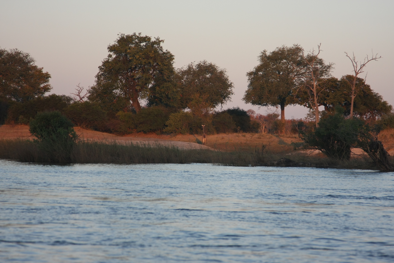 [34158] 2016_07_04_11_39_16_Africa_Canon_EOS_40D_IMG__05980.jpg