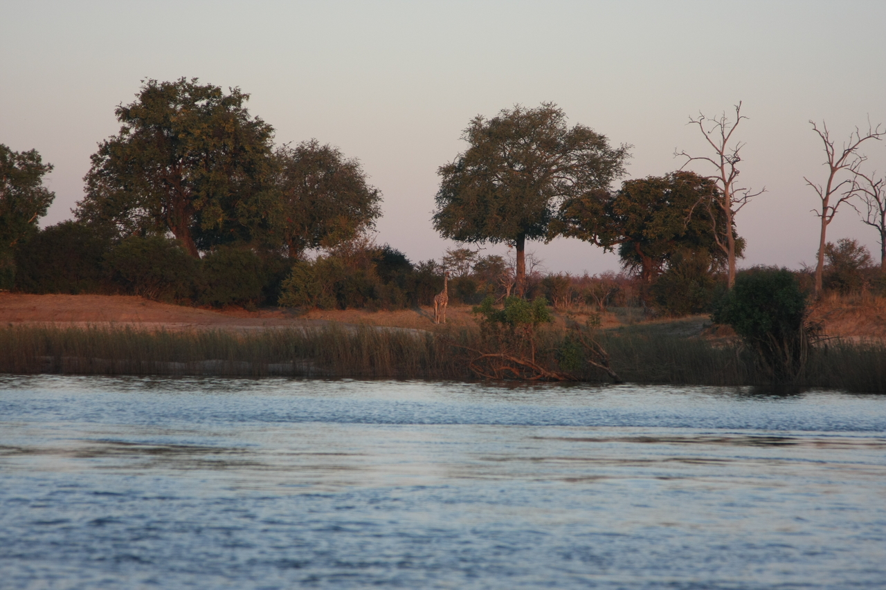 [34166] 2016_07_04_11_39_49_Africa_Canon_EOS_40D_IMG__13428.jpg