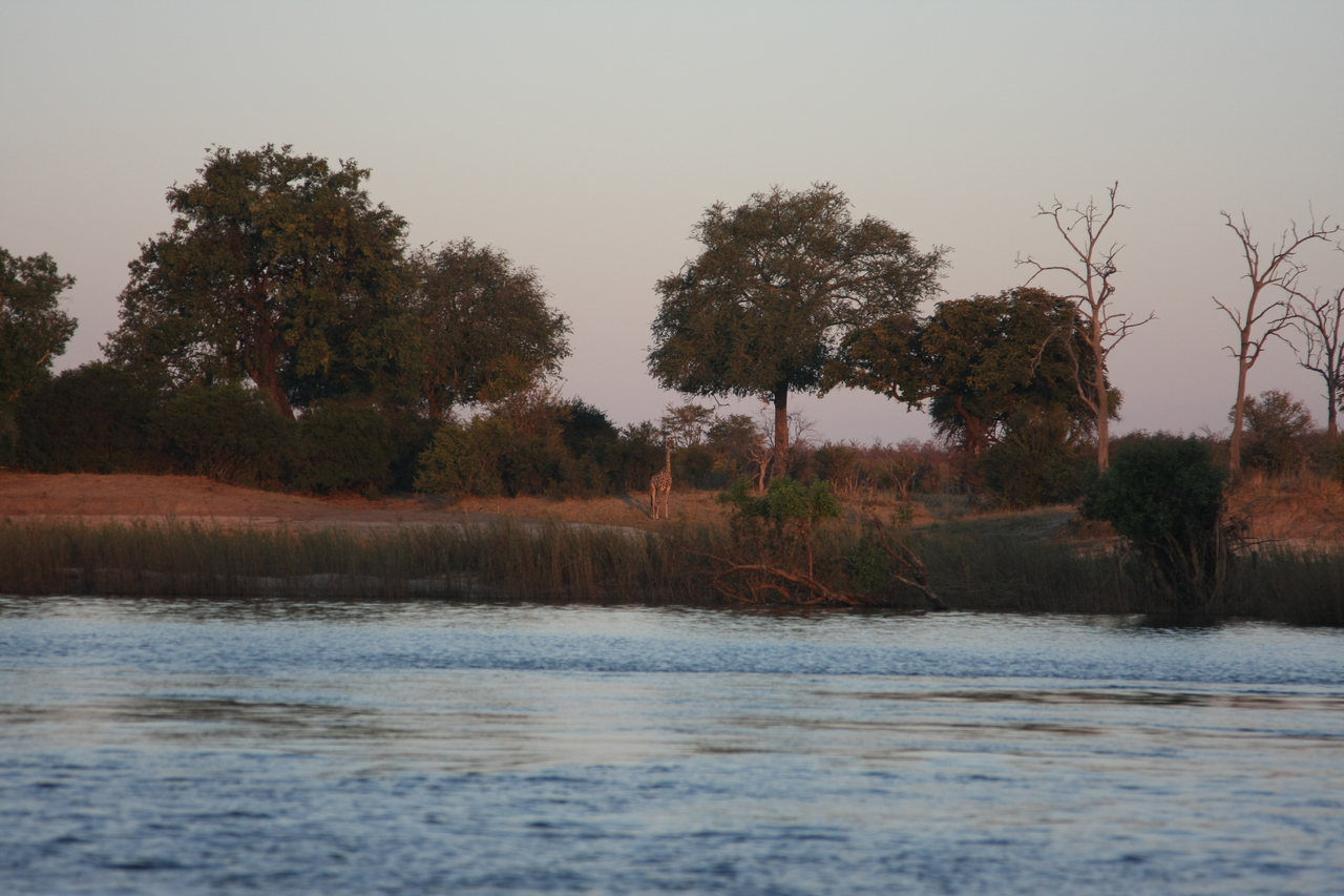 [34167] 2016_07_04_11_39_49_Africa_Canon_EOS_40D_IMG__13430.jpg