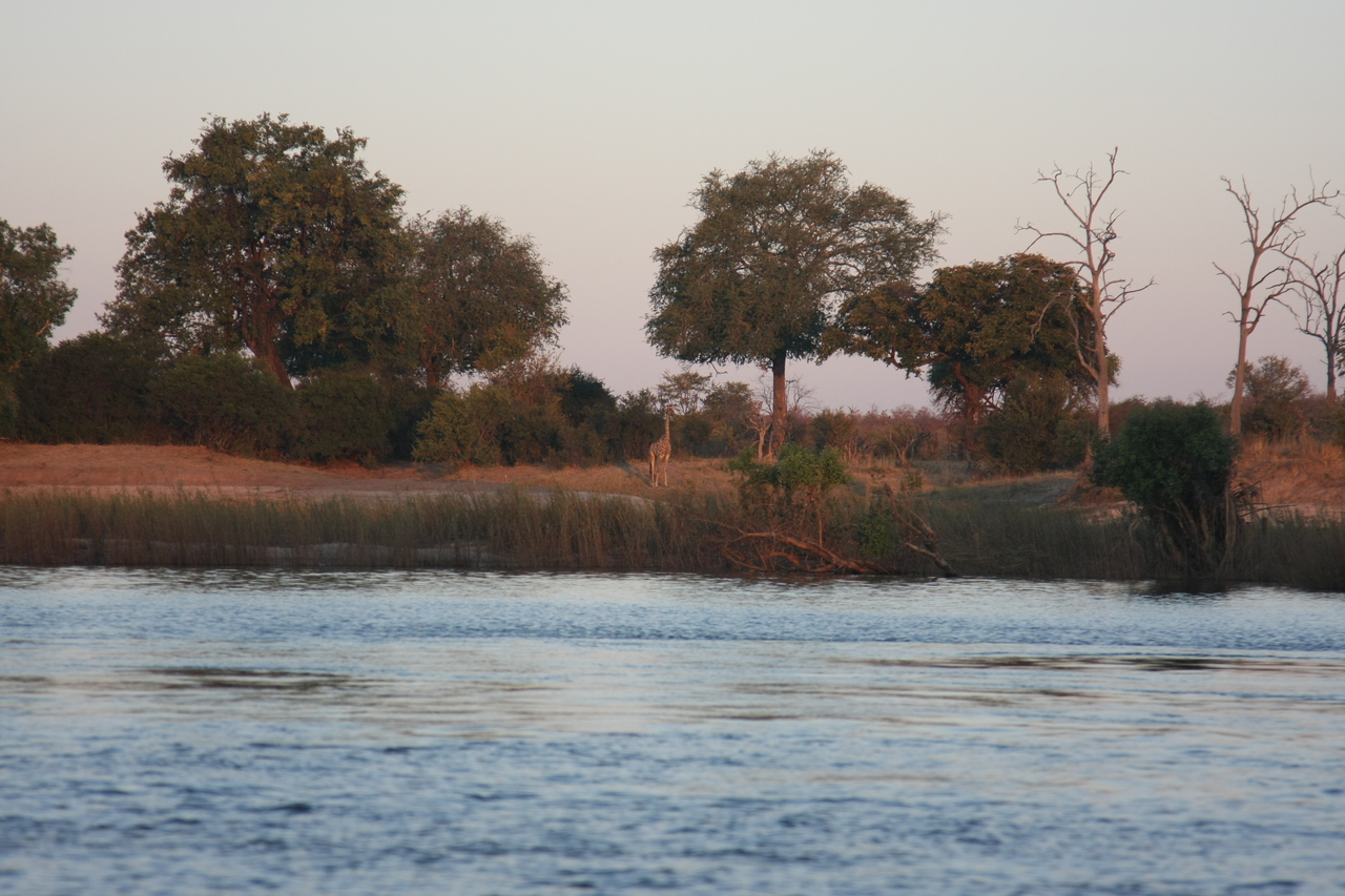 [34168] 2016_07_04_11_39_49_Africa_Canon_EOS_40D_IMG__13431.jpg