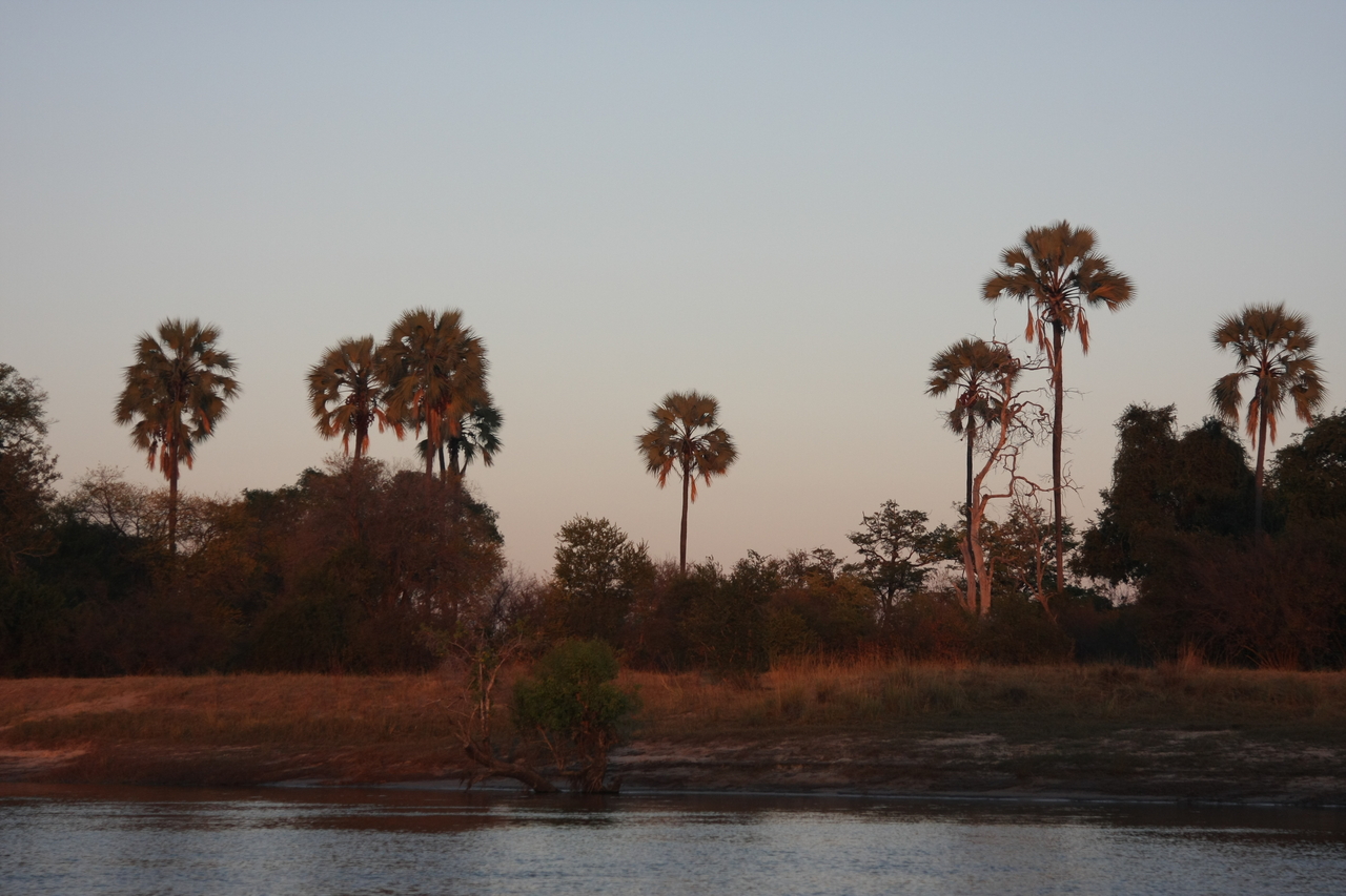 [34170] 2016_07_04_11_41_30_Africa_Canon_EOS_40D_IMG__05985.jpg