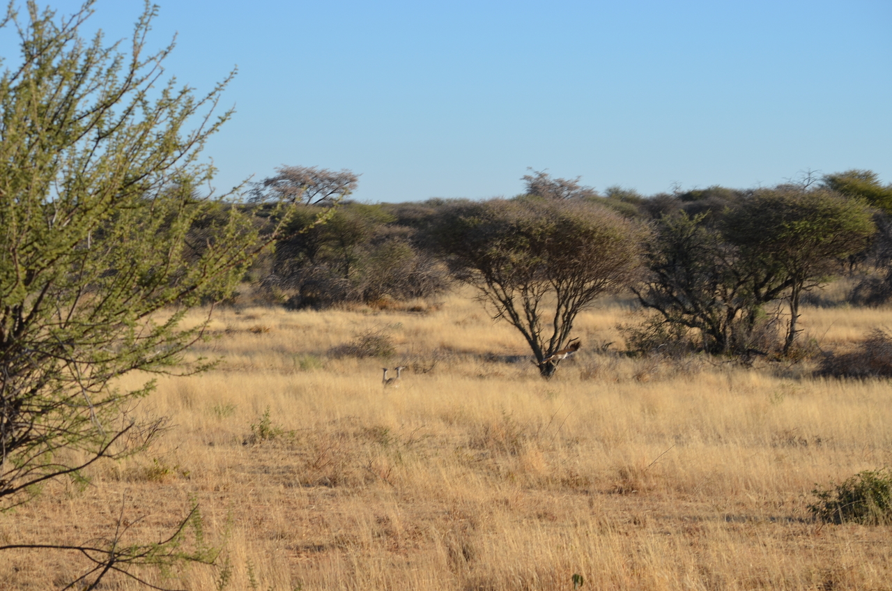 [4478] 2016_06_22_22_38_29_Africa_NIKON_D5100_IMG__00011.jpg